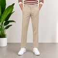 Classic Regular Fit Beige Formal Pants for Men