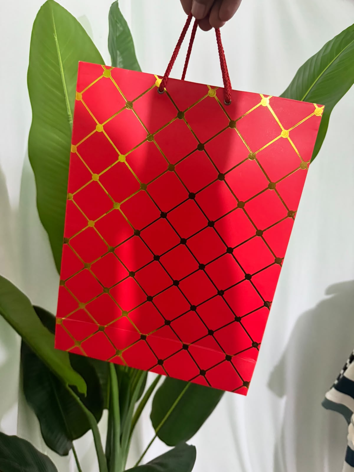Premium Gift Bag