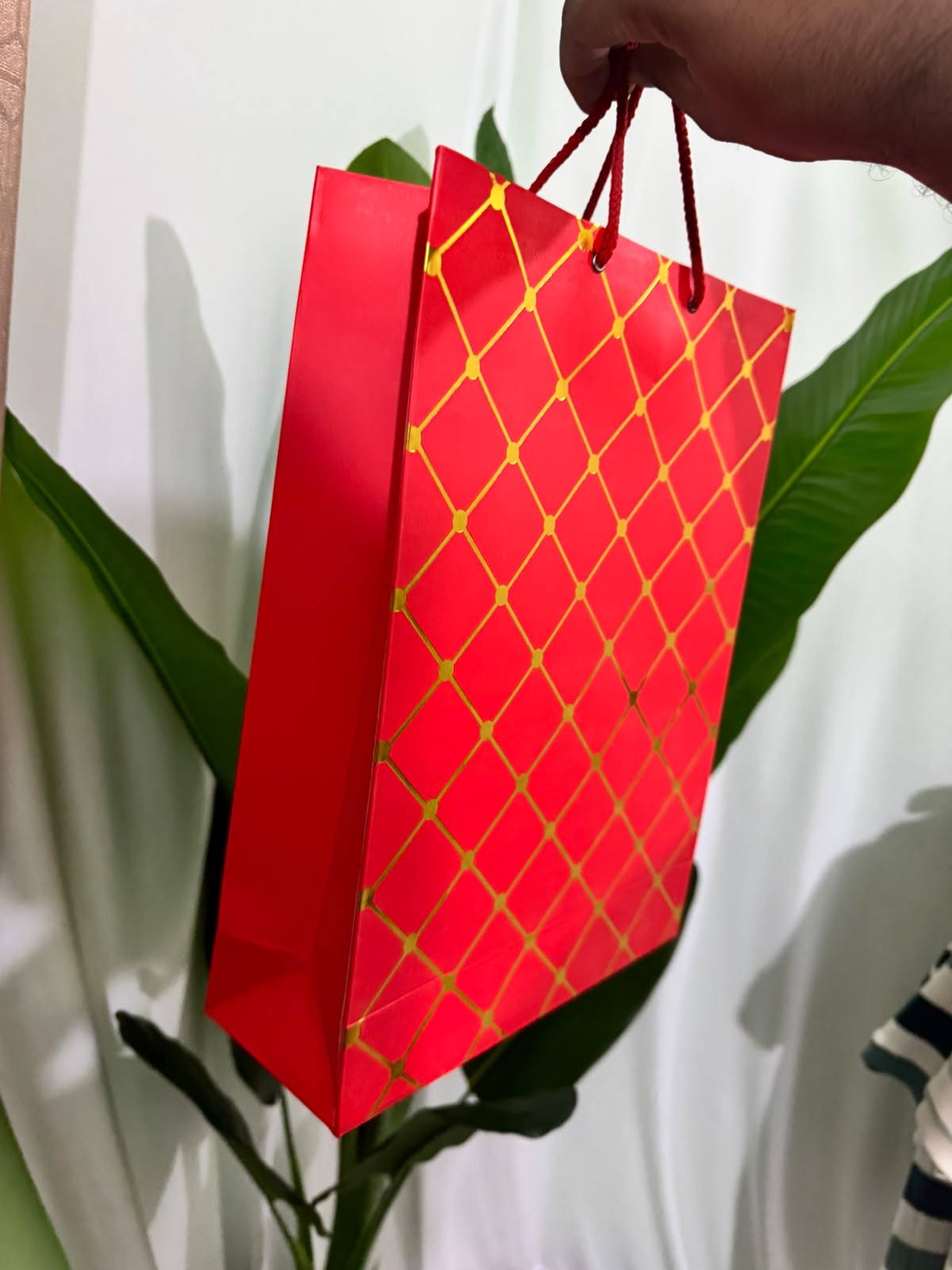 Premium Gift Bag