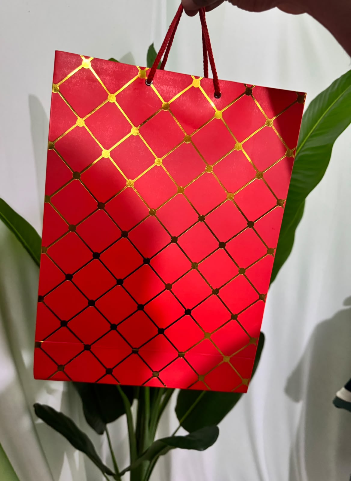 Premium Gift Bag